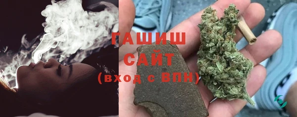 шишки Заволжье