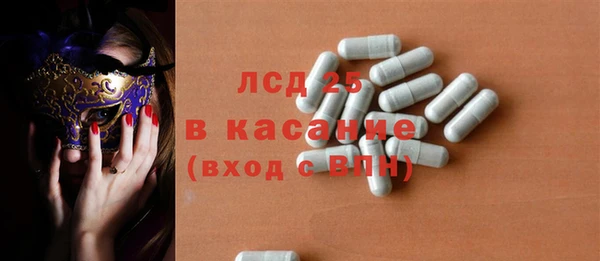 шишки Заволжье
