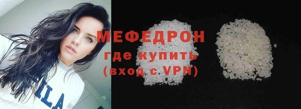 сатива Няндома