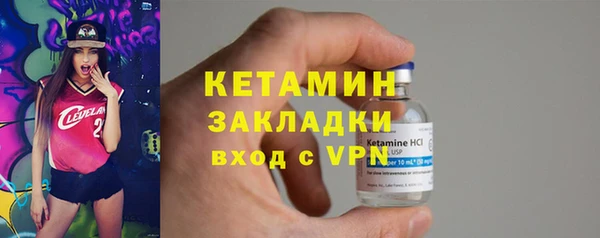 шишки Заволжье