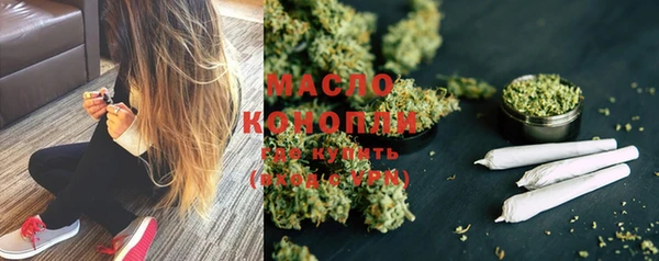 шишки Заволжье