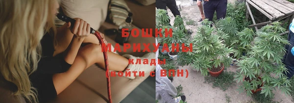 шишки Заволжье