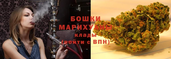 шишки Заволжье