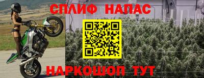 каннабис Волжский