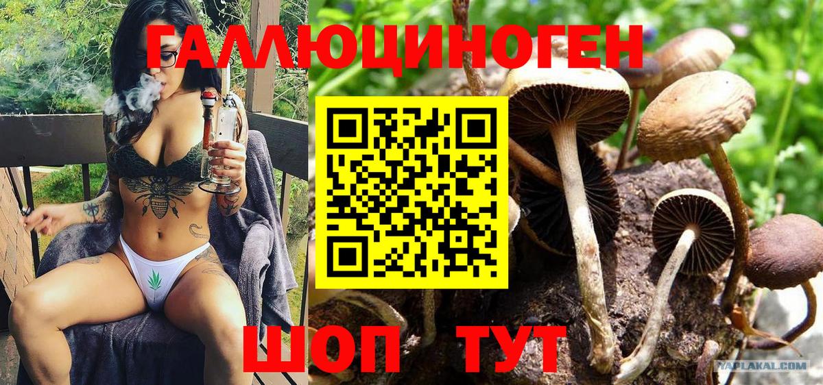 Псилоцибиновые грибы MAGIC MUSHROOMS Ишим