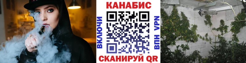 Марихуана гибрид Ишим